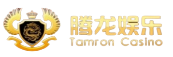 腾龙公司网站-官网